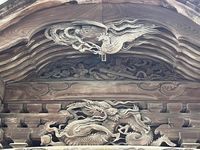 IMG_3100.jpeg